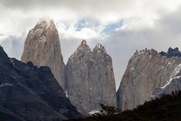 istock Chilean nature and wildlife 904335792