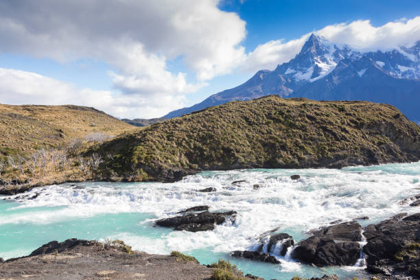 istock Chilean nature and wildlife 904335948