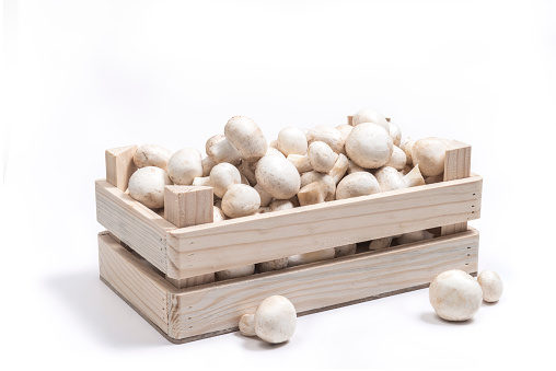 Mushroom in wooden crate isolated