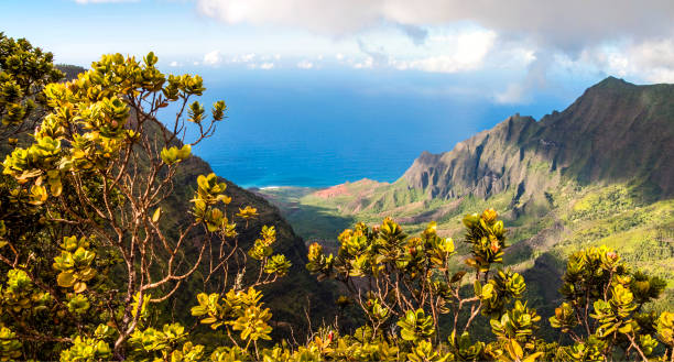 vista de kalalau lookot - mahaulepu beach fotografías e imágenes de stock