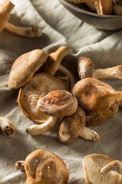 istock Healthy Organic Fresh Shiitake Mushrooms 904341068