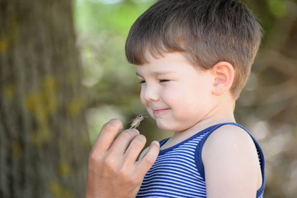 istock Father gives son grasshopper to eat 904348042
