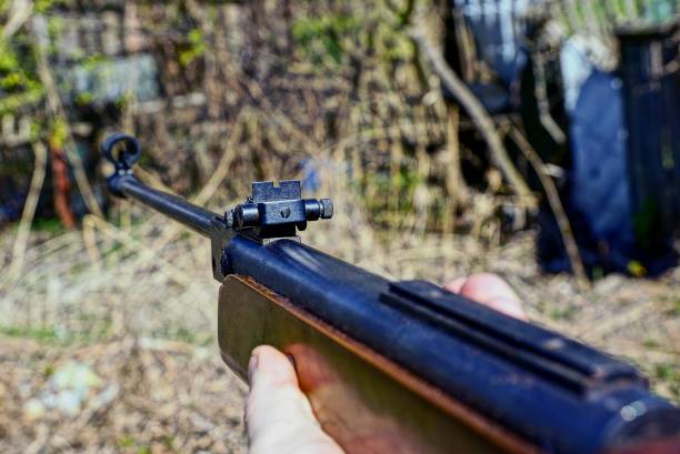 istock hand holds a brown air rifle 904348050