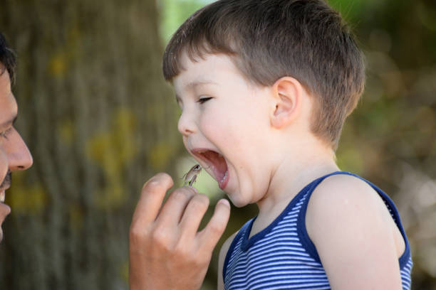 istock Father gives son grasshopper to eat 904348056