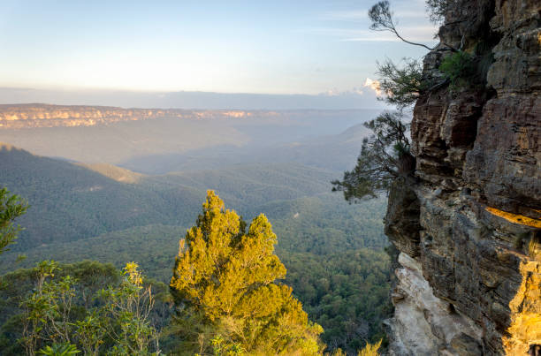 istock Overlooking Jamison Valley in late afternoon 904351654