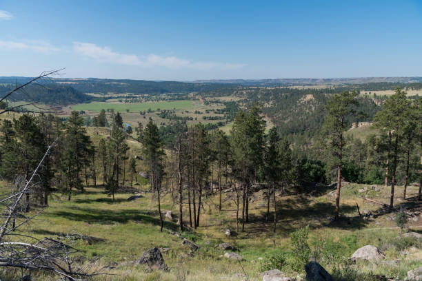 istock Aerial view of trees and mountains 904352576