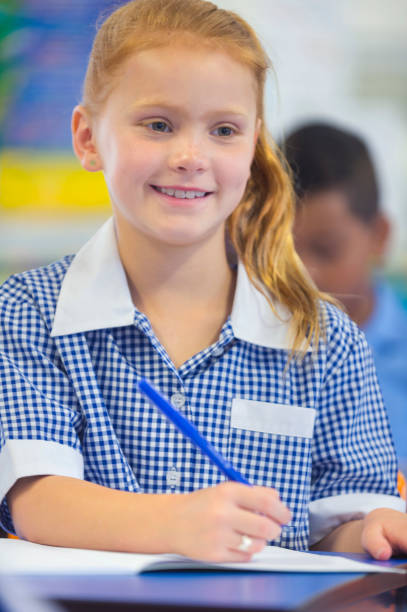 istock Schoolgirl working in classroom. 904357950