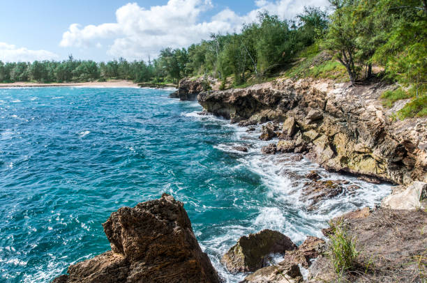 rocosas del sur este - mahaulepu beach fotografías e imágenes de stock