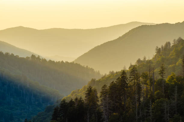 istock Evening in the Smoky's 904362622