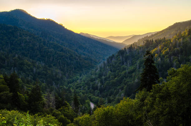 istock Summer in the Smoky's 904365622