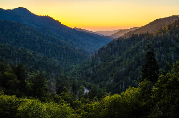 istock Summer in the Smoky's 904365914
