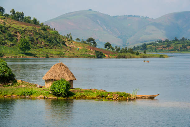 Shoreline of Lake Kivu, Congo, Africa The green shoreline of Lake Kivu between the countries DR Congo and Rwanda in the heart of Africa. Lake Kivu is in the Albertine Rift, the western branch of the East African Rift. Lake Kivu empties into the Ruzizi River, which flows southwards into Lake Tanganyika. lake kivu stock pictures, royalty-free photos & images