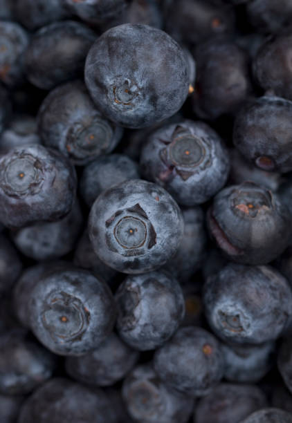 istock Fresh Organic Blueberries Isolated on a White Background 904372136