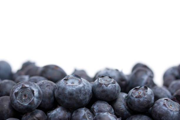 Fresh Organic Blueberries Isolated on a White Background