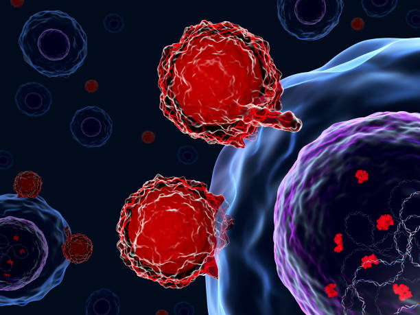 istock T cells attacking CRISPR-Cas9 human cells 904383902