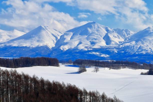 istock Biei Fuji and Biei dake 904389386