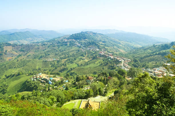 istock Nature view mountain, forest and blue sky 904390158