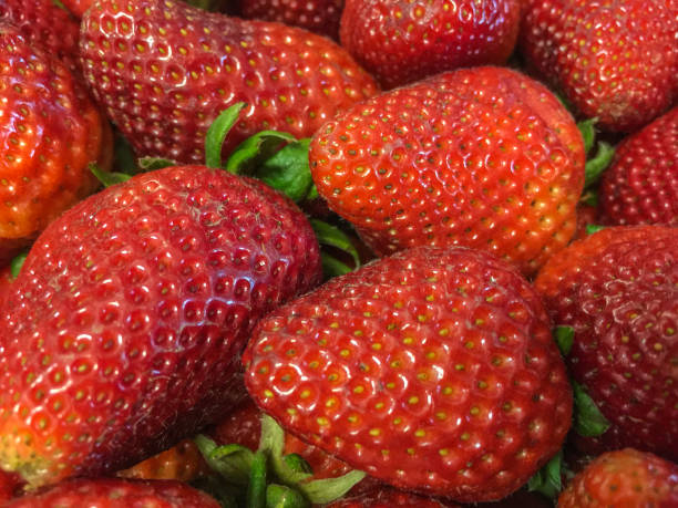 istock Background from freshly harvested strawberries 904396926