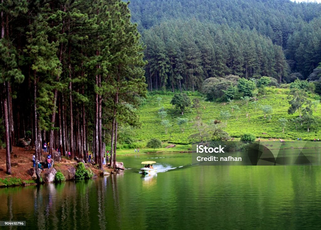 a beautiful  place to visit during holidays with  a landscaping  view of a lake, mountain and evergreen trees in hill country sri lanka Beauty Stock Photo