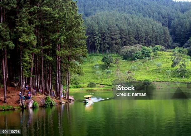 A Beautiful Place To Visit During Holidays With A Landscaping View Of A Lake Mountain And Evergreen Trees In Hill Country Sri Lanka Stock Photo - Download Image Now