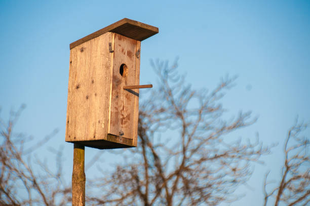istock Birdhouse or nesting box hanging on a tree. Autumn forest 904417920