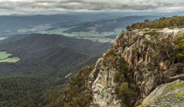 mount buffalo, winter blick an der spitze auf den schneeberg - australian culture scenics australia panoramic stock-fotos und bilder