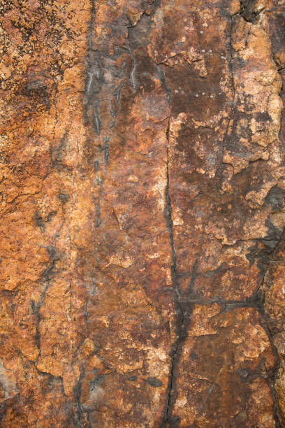 istock Rock on the beach - stone texture close-up 904423622