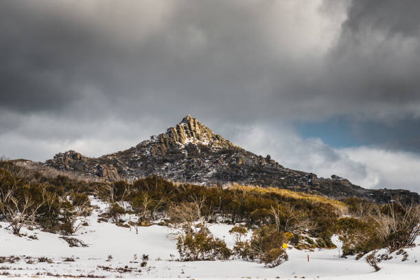 Mount Buffalo, winter view at the top of the snow mountain Mount Buffalo, winter view at the top of the snow mountain. Winter scenery in Australian Alps high country stock pictures, royalty-free photos & images