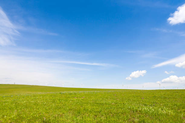 istock wind power station in the country 904427184