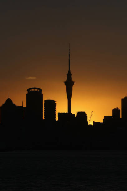 istock Auckland skyline sunset silhouette 904428354