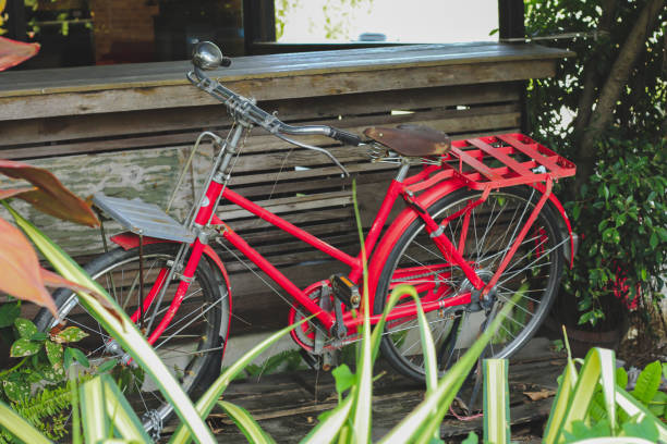 istock red bicycle old  in the garden. 904430496
