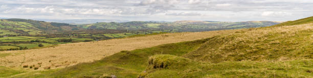 istock Landscape in Carmarthenshire, Wales, UK 904438972