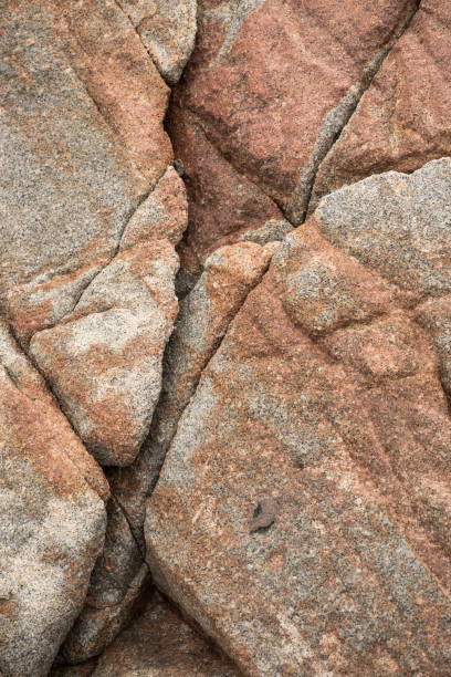 istock Rock on the beach - stone texture close-up 904448418