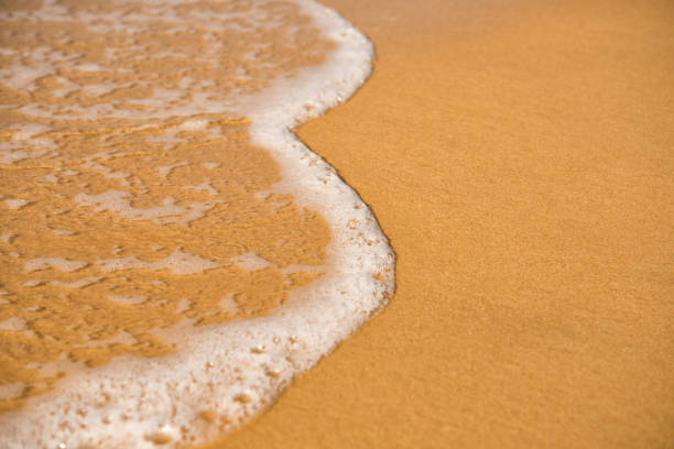 istock Background. A close-up of a wave runs over a sandy beach 904449578