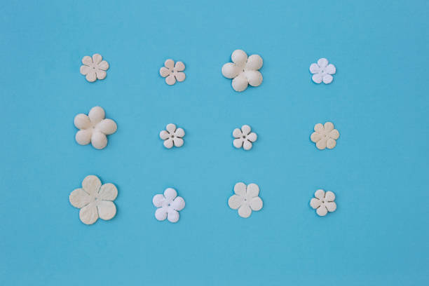 Design white paper flower on blue paper texture background
