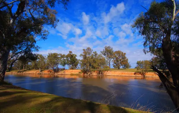 Photo of Murrumbidgee River near Narrandera NSW