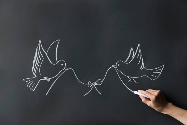 istock Illustration of  bird drawn with chalk 904460290