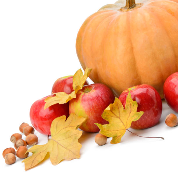istock Pumpkin, apples and hazel isolated on white background. Free space for text. 904463298
