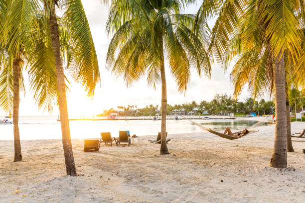 hamac de détente après une journée de plage dans les caraïbes - îles caïmans - cayman islands photos et images de collection