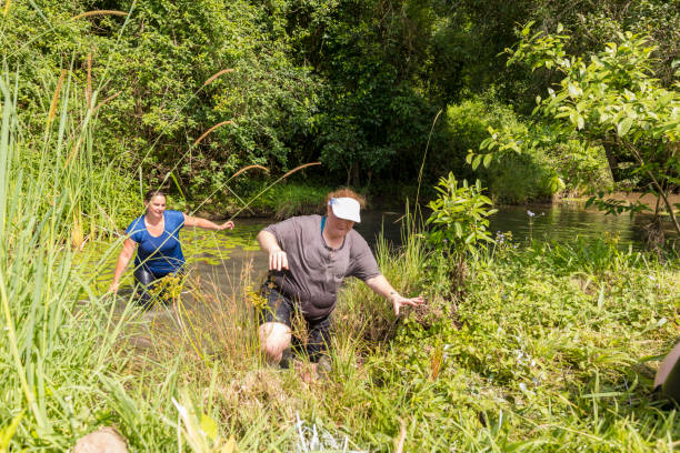 istock Athletic Mature Women Helping Each Other in a River During an Obstacle Course Mud Run 904468668