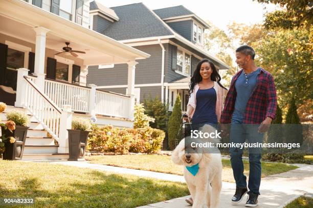 Couple Walking Dog Along Suburban Street Stock Photo - Download Image Now - Walking, Couple - Relationship, Domestic Life