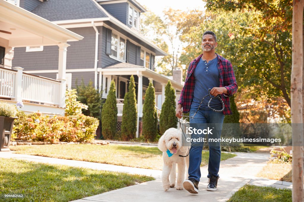 Man Walking Hund entlang der Suburban Street - Lizenzfrei Hundespaziergang Stock-Foto