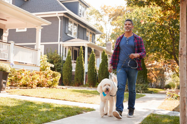 man walking hund entlang der suburban street - nur ein mann mittleren alters stock-fotos und bilder