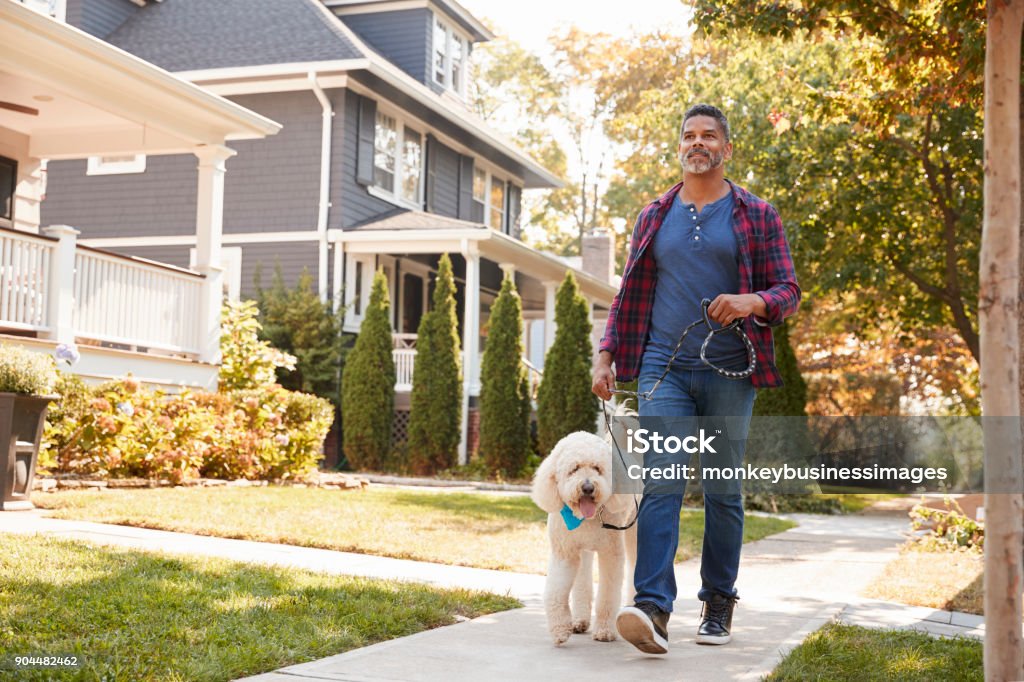 Hombre paseando perro calle suburbana - Foto de stock de Pasear perros libre de derechos