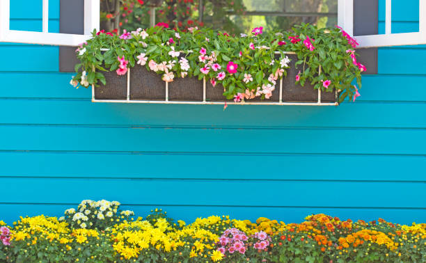 istock Wood and flower walls 904482622