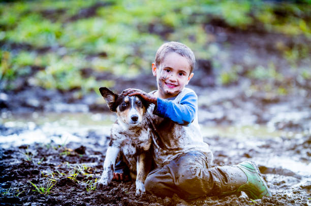Playing With Dog In The Mud A boy is playing with his dog outside. They are sitting in a mud puddle. The boy looks happy but the dog does not. puddle photos stock pictures, royalty-free photos & images