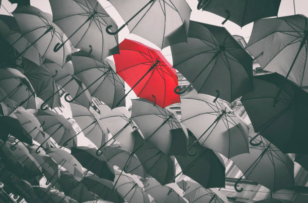 Stand out from the crowd Red different umbrella in mass of black umbrellas sheltering photos stock pictures, royalty-free photos & images