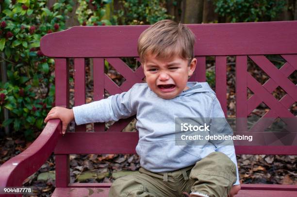 Crying Toddler On Bench Stock Photo - Download Image Now - Tantrum, Child, Toddler