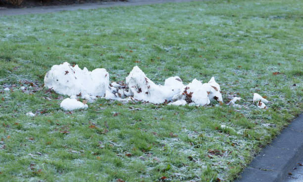 istock Melting snowman in the Netherlands 904494368