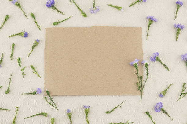 istock Blank brown card decorated with purple cutter flowers pattern 904514456